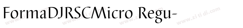 FormaDJRSCMicro Regu字体转换